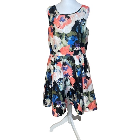 Danny & Nicole Floral Fit & Flare Dress 16 Round Neck Wedding Guest Garden Party - Picture 2 of 14